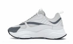 DR 22 - B22 WHITE SILVER