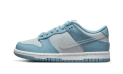 DUNK L - CLEAR SWOOSH