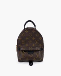 Louis Vuitton Palm Springs Mini Monogram