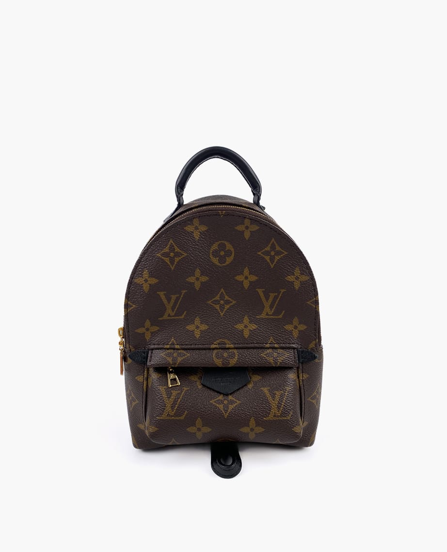 Louis Vuitton Palm Springs Mini Monogram