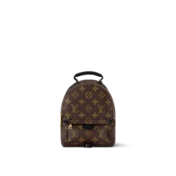 Louis Vuitton Palm Springs Mini Backpack